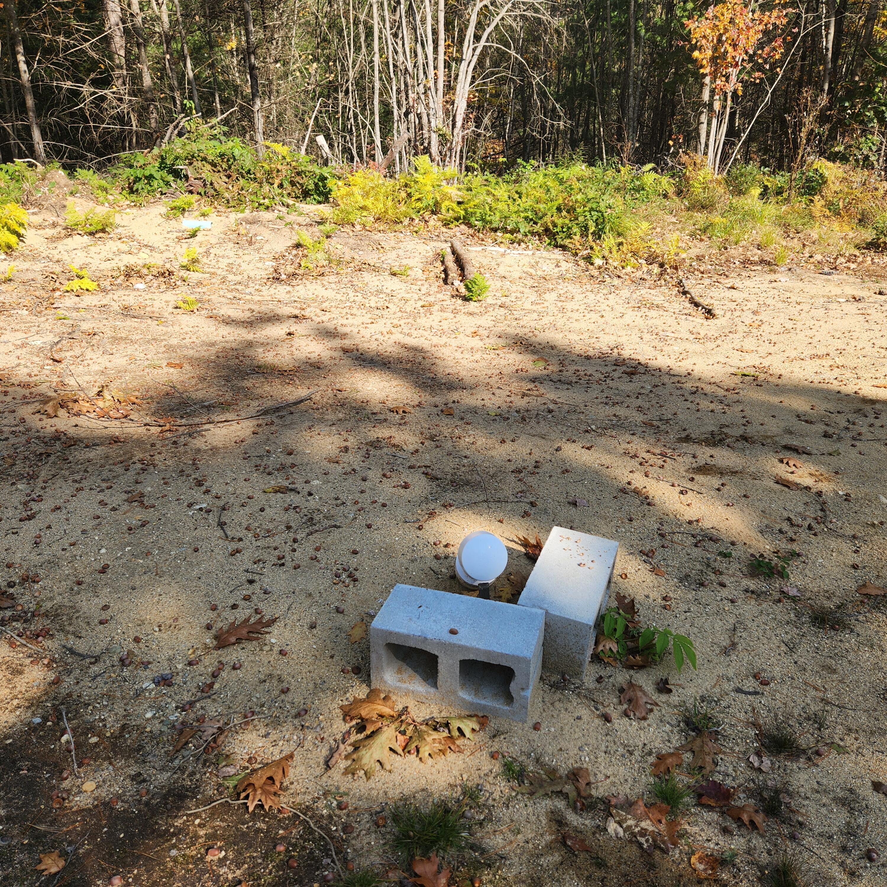 Map2 Map2 Lot7g Livermore, ME 04253 - Photo 10 of 21 20241019_125319