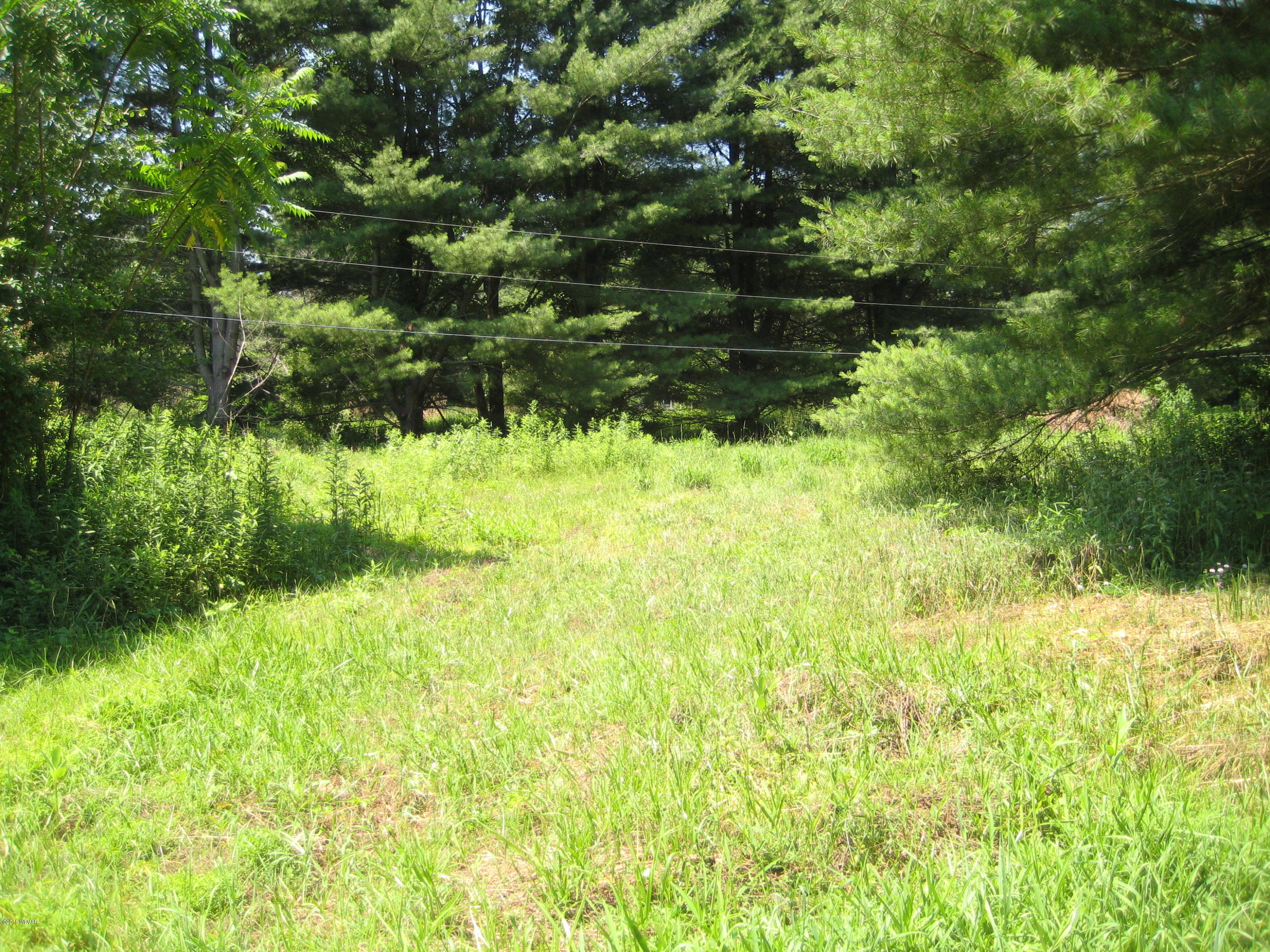 41 Buttonwood Road Hillsgrove, PA 18619 - Photo 14 of 15 IMG_2162