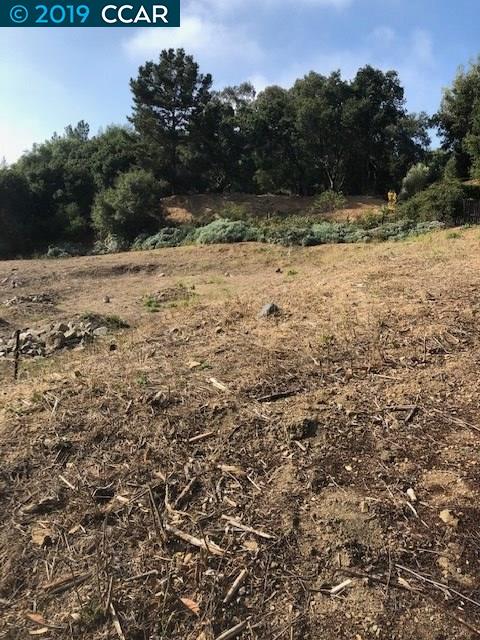2907 Jordan Road Oakland, CA 94602 - Photo 1 of 1 a view of a yard with a tree
