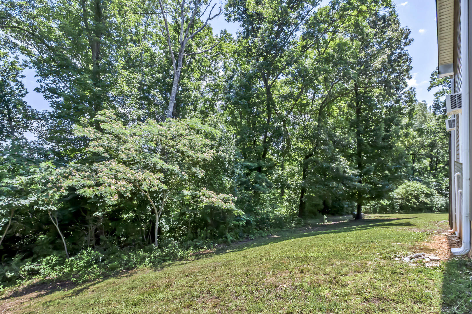 107 Squaw Valley Road Kingston, TN 37763 - Photo 34 of 40 34_SquawValleyRoad_107_Backyard