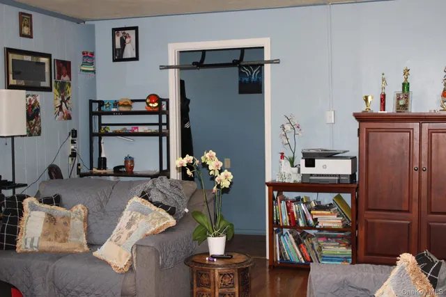 a living room with furniture flowerpot and a window