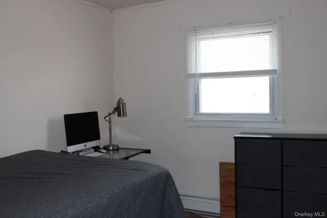 a view of a forest that has large trees