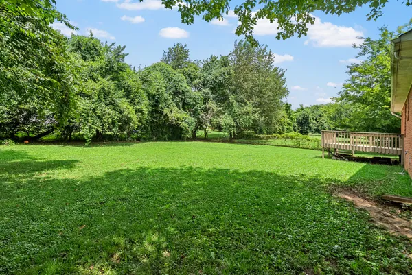 a view of a park with a tree in the background
