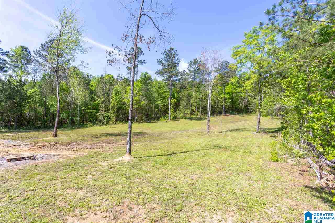 125 Turkey Trail Road Odenville, AL 35120 - Photo 37 of 42