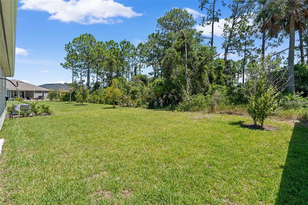 6 Signet Circle Flagler Beach, FL 32136 - Photo 53 of 63