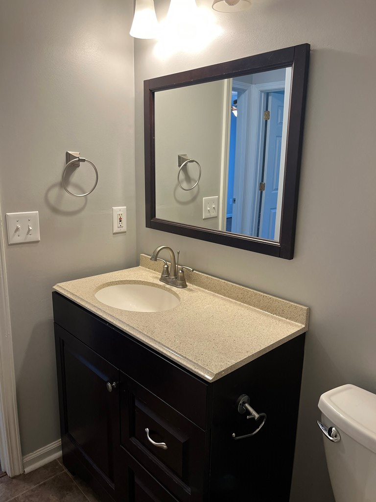 7289 Midland Chase Loop Columbus, GA 31909 - Photo 14 of 19 a bathroom with a sink vanity and a toilet