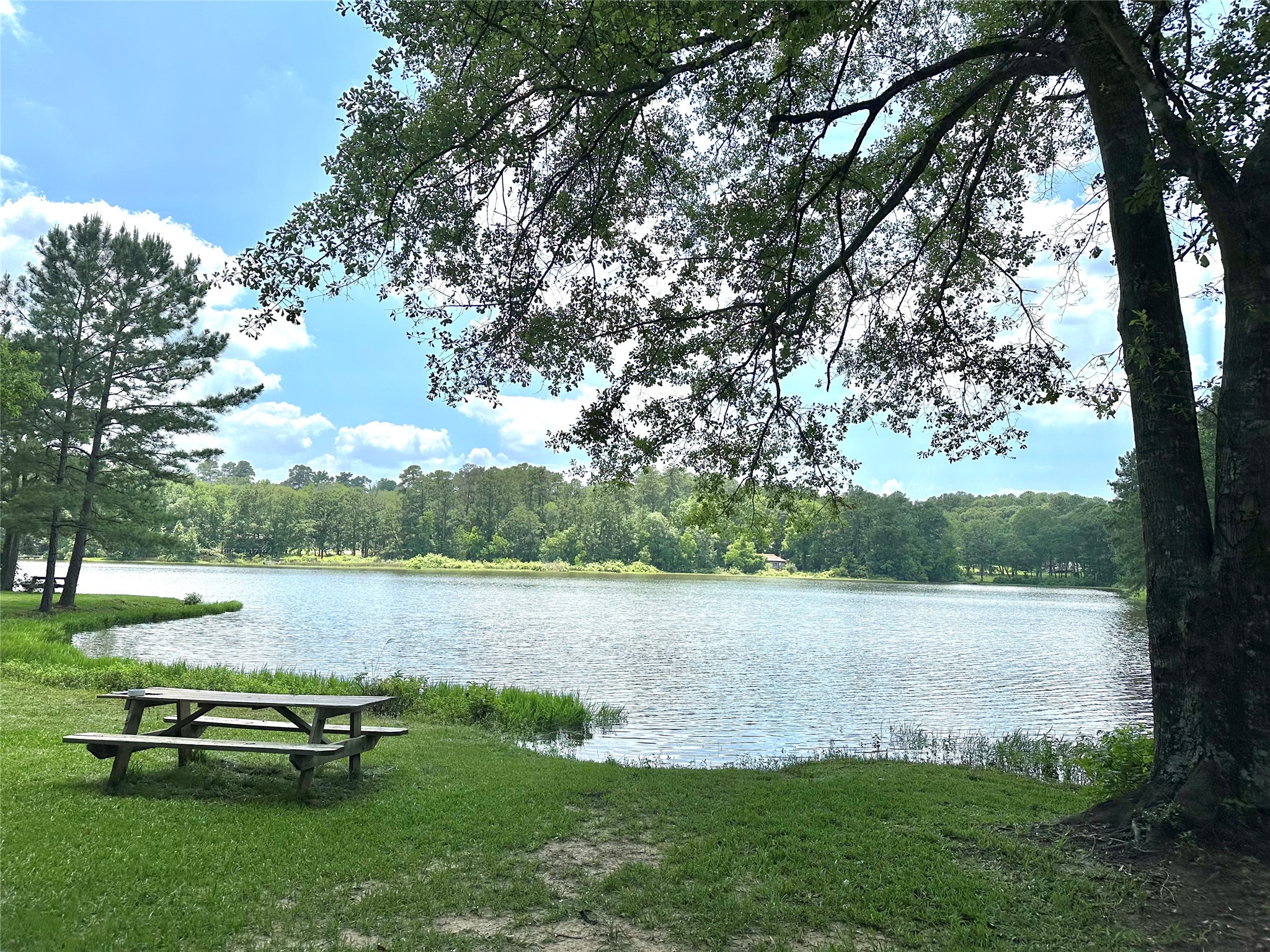 5291 Crockett Road Willis, TX 77378 - Photo 1 of 3 Subdivision Lake