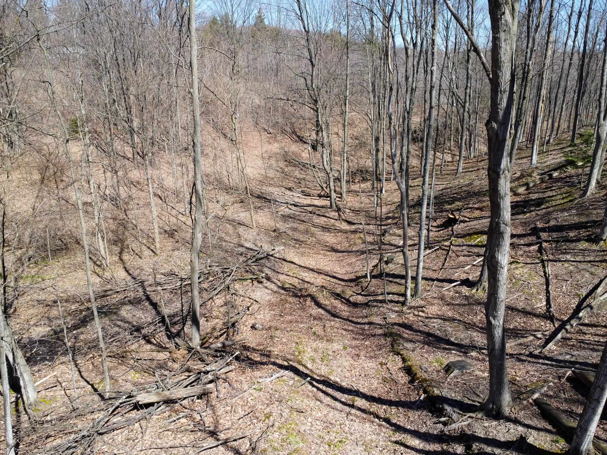 0 East Smiseth Road Suttons Bay, MI 49682 - Photo 39 of 67