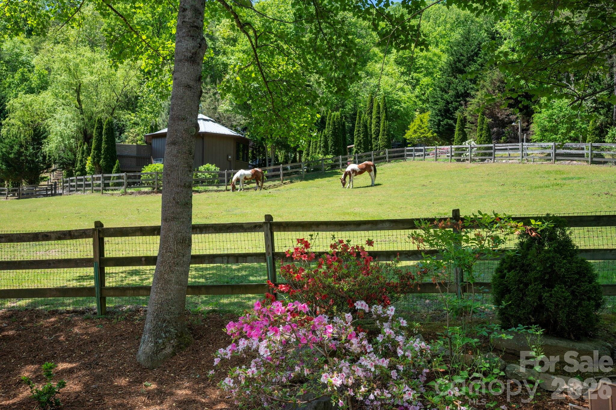 14 Weeping Cherry Forest Road Fairview, NC 28730 - Photo 28 of 44
