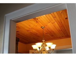 634 Princeton Road Johnson City, TN 37601 - Photo 23 of 24 Tongue and groove ceiling