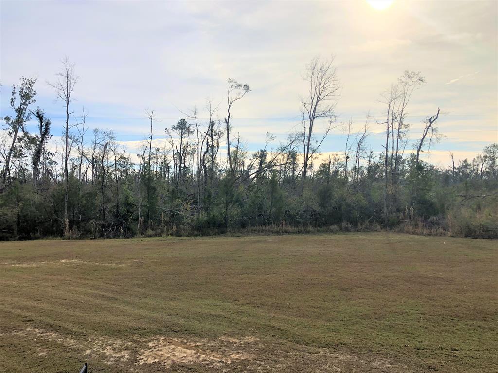 14225 Northwest Henry Grantham Road Altha, FL 32421 - Photo 2 of 2