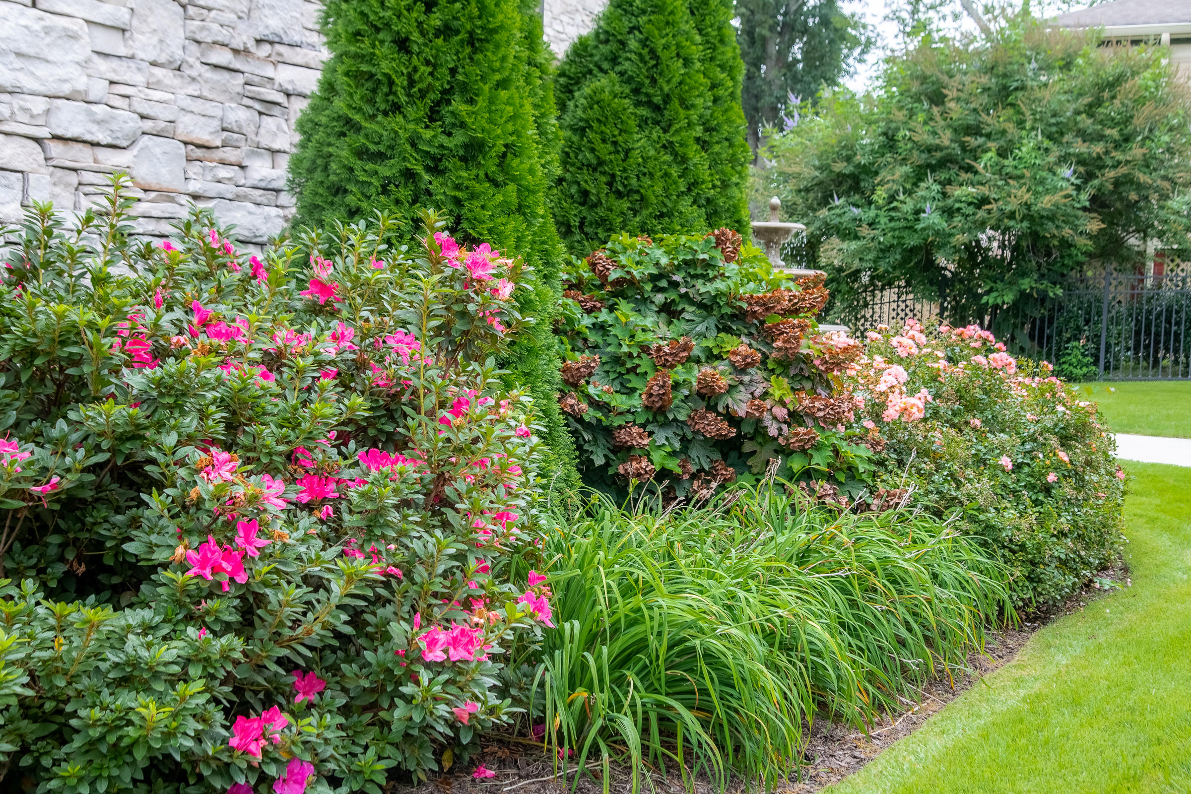 53 South Crest Road Chattanooga, TN 37404 - Photo 77 of 89 LUSH LANDSCAPING