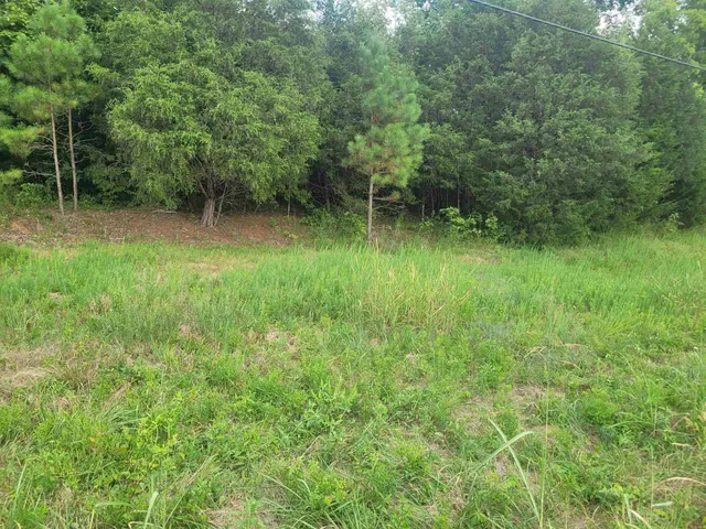 a view of outdoor space and a yard