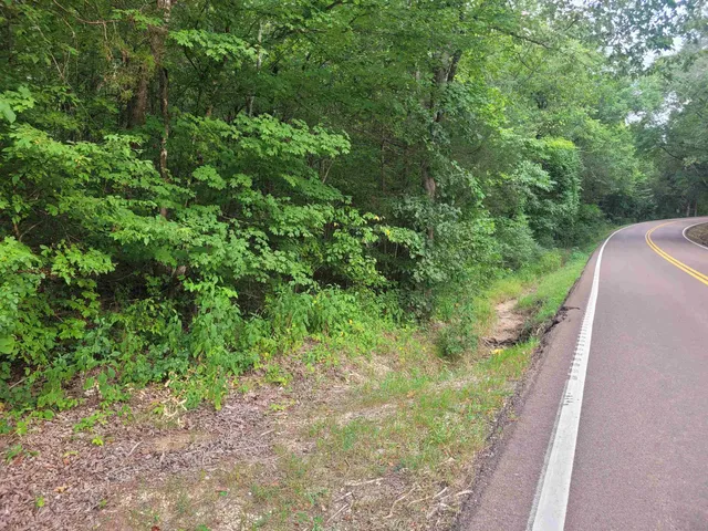 a view of a yard with plants and a bench