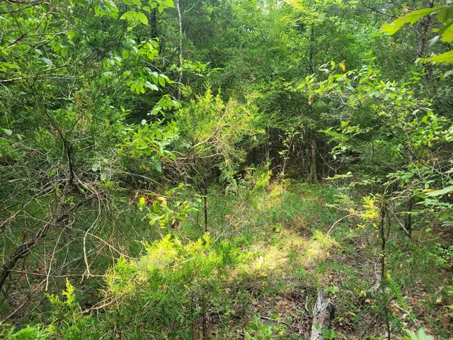 a view of a table and chairs in the garden