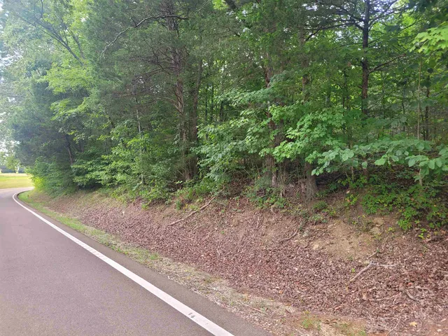 a view of a yard with a tree