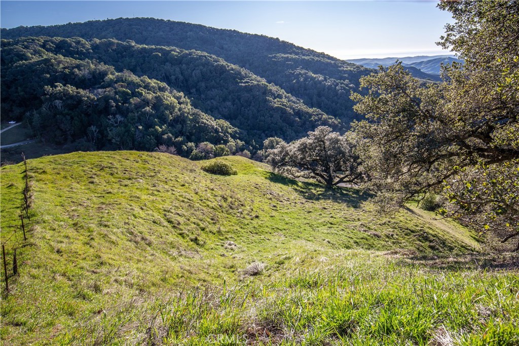 9900 Santa Rosa Creek Road Templeton, CA 93465 - Photo 12 of 28