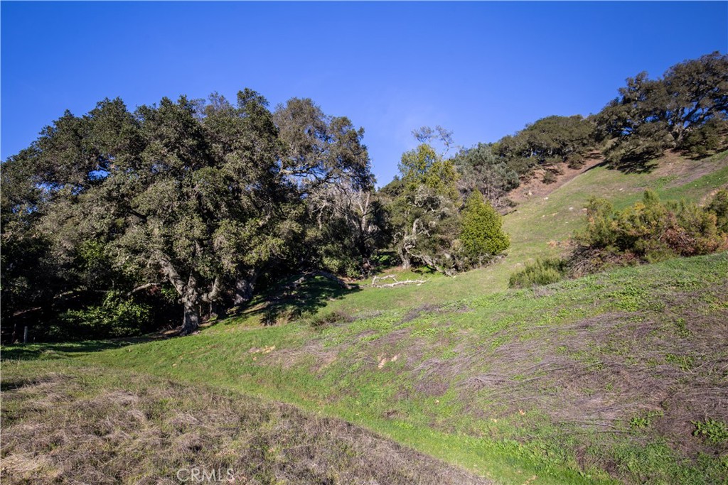 9900 Santa Rosa Creek Road Templeton, CA 93465 - Photo 13 of 28