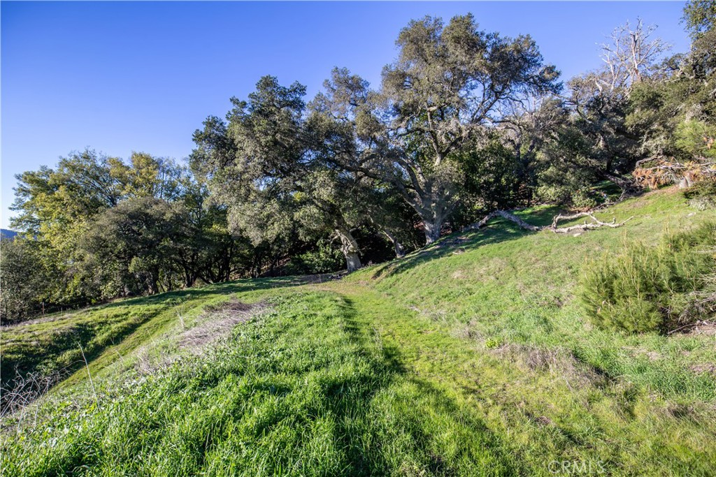9900 Santa Rosa Creek Road Templeton, CA 93465 - Photo 14 of 28