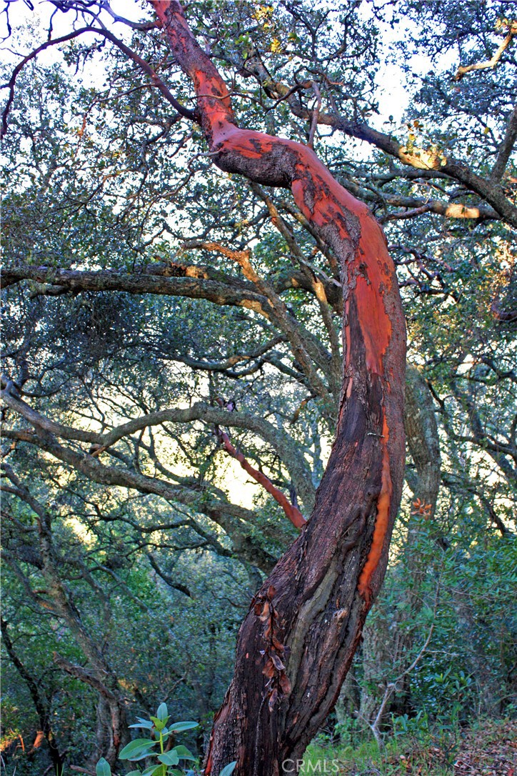 9900 Santa Rosa Creek Road Templeton, CA 93465 - Photo 16 of 28