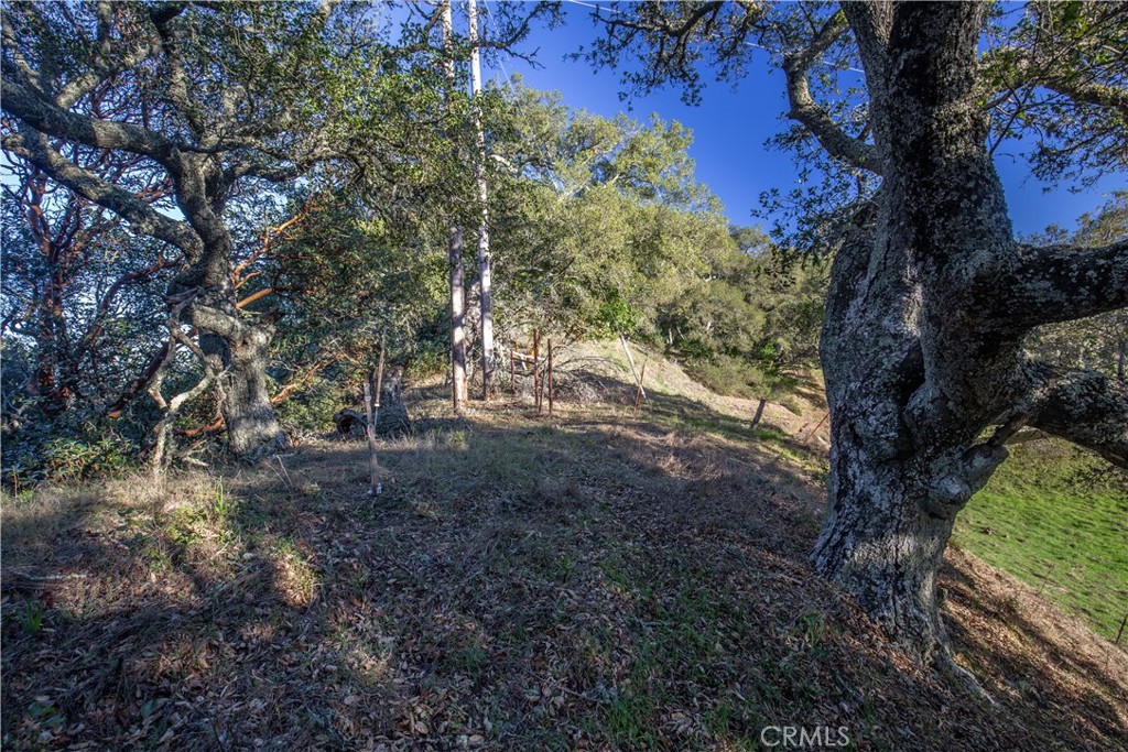 9900 Santa Rosa Creek Road Templeton, CA 93465 - Photo 20 of 28