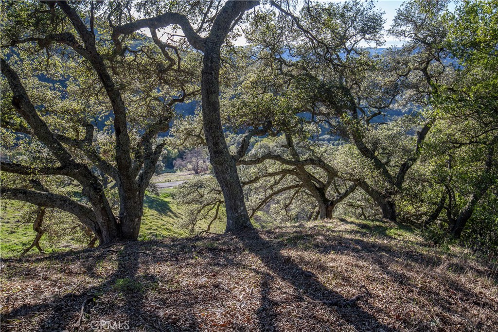 9900 Santa Rosa Creek Road Templeton, CA 93465 - Photo 21 of 28