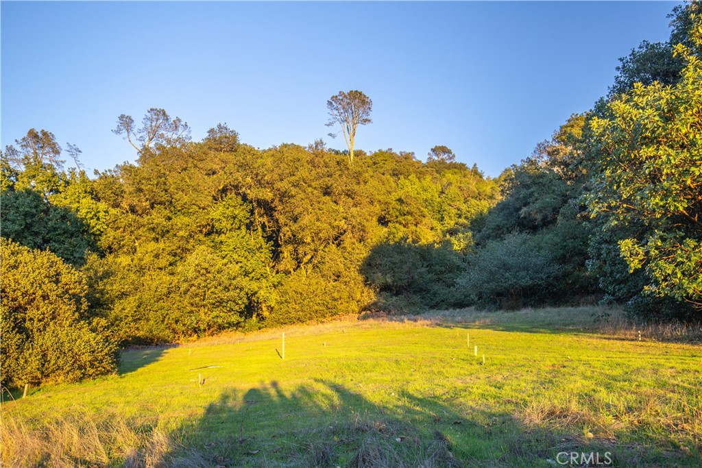 9900 Santa Rosa Creek Road Templeton, CA 93465 - Photo 23 of 28