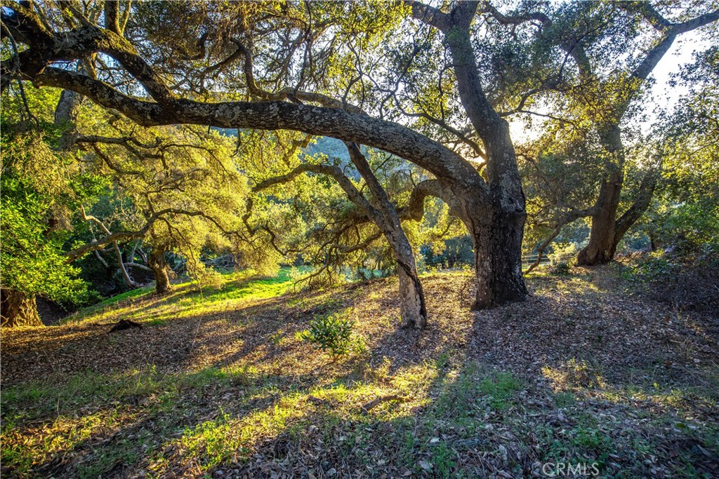 9900 Santa Rosa Creek Road Templeton, CA 93465 - Photo 5 of 28