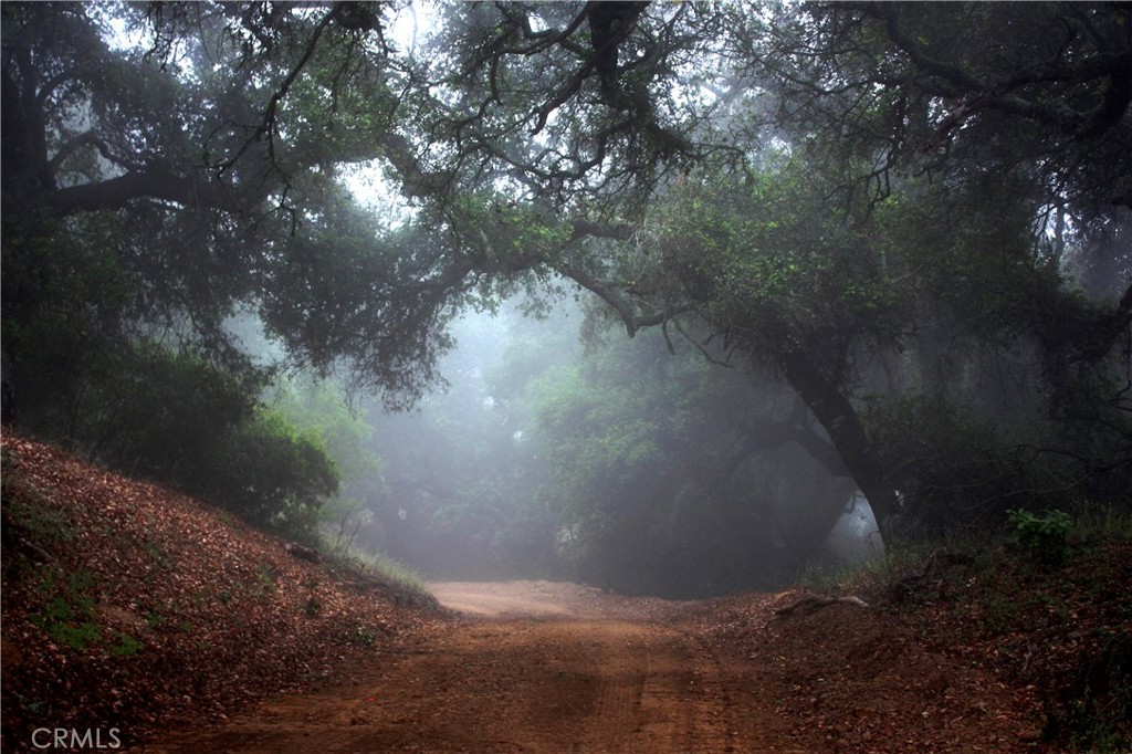 9900 Santa Rosa Creek Road Templeton, CA 93465 - Photo 6 of 28