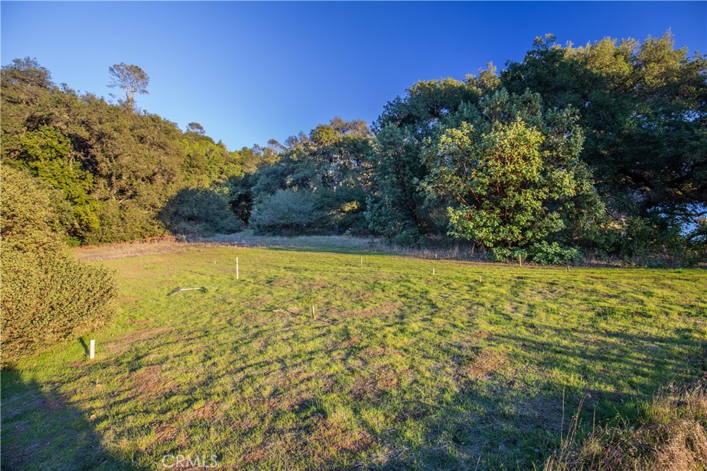 9900 Santa Rosa Creek Road Templeton, CA 93465 - Photo 8 of 28