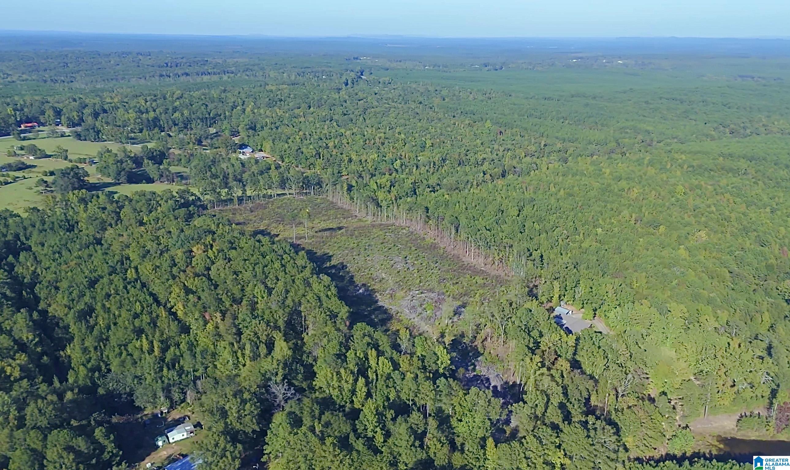 0 County Road 252, Unit 12 87 Clanton, AL 35046 - Photo 4 of 6