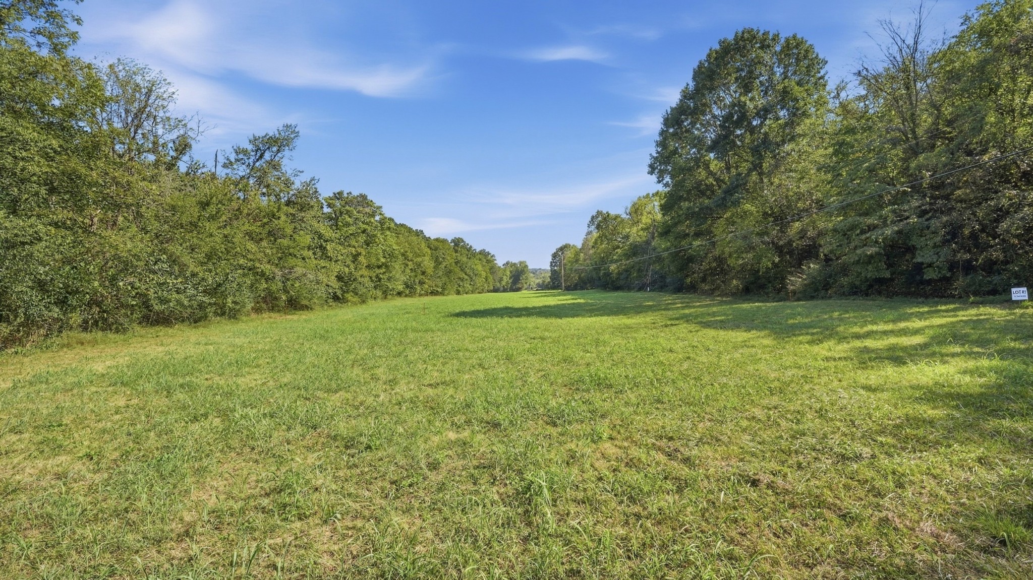 0 Opossum Paw Road Beechgrove, TN 37018 - Photo 9 of 22 Gallery Image 9