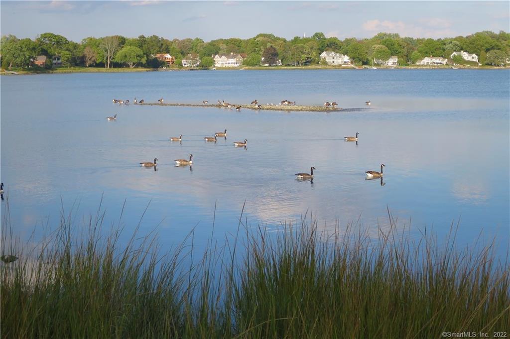 198 Sylvan Knoll Road Stamford, CT 06902 - Photo 17 of 17