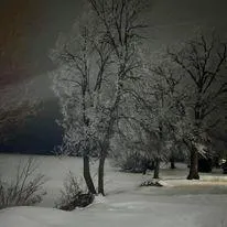 $375,000 | 124 Park Street, Erskine, MN 56535