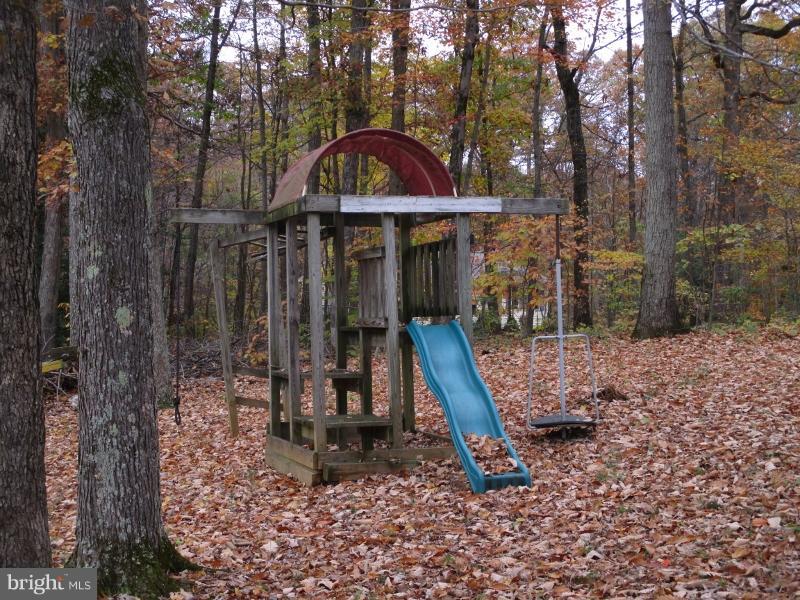 5502 Sumerduck Road Sumerduck, VA 22742 - Photo 9 of 11 Playset