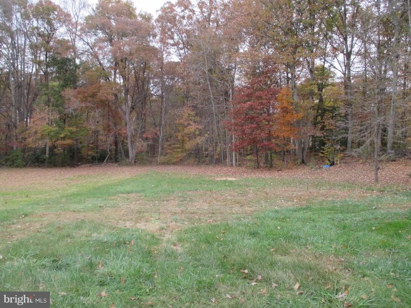 5502 Sumerduck Road Sumerduck, VA 22742 - Photo 10 of 11 Backyard