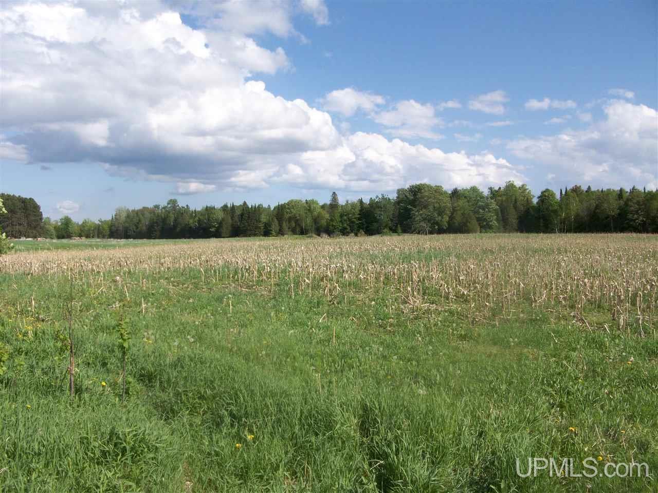 Tbd Co Rd 426 & River Road Cornell, MI 49818 - Photo 11 of 15