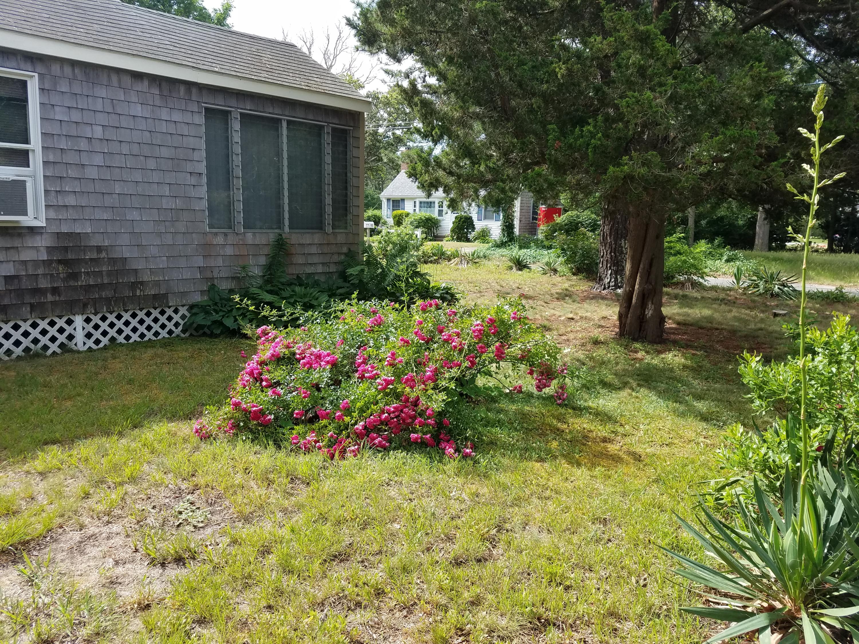 14 Judith Ann Road Dennis, MA 02638 - Photo 1 of 13 20170706_093037