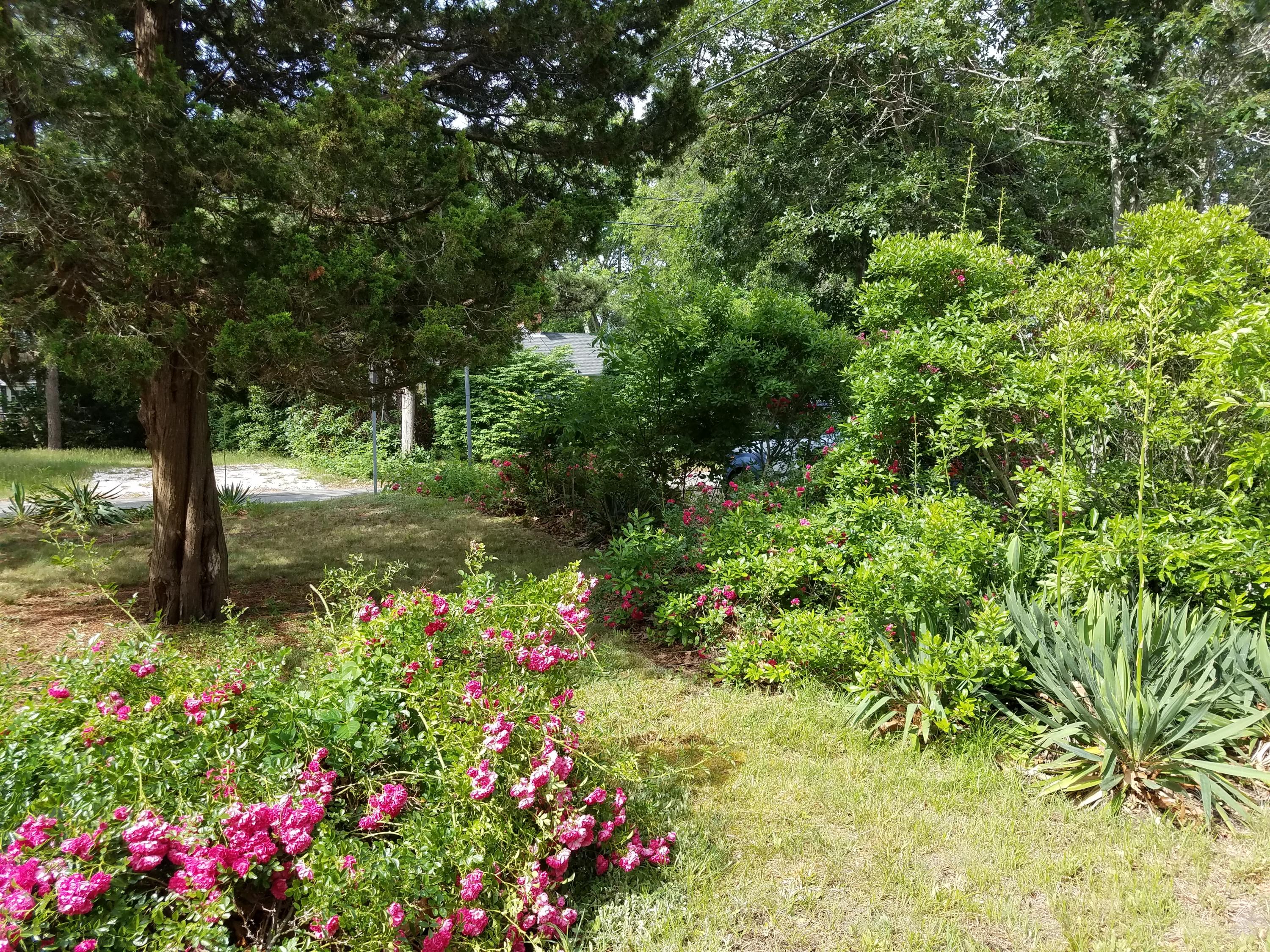 14 Judith Ann Road Dennis, MA 02638 - Photo 2 of 13 20170706_093046 - Copy