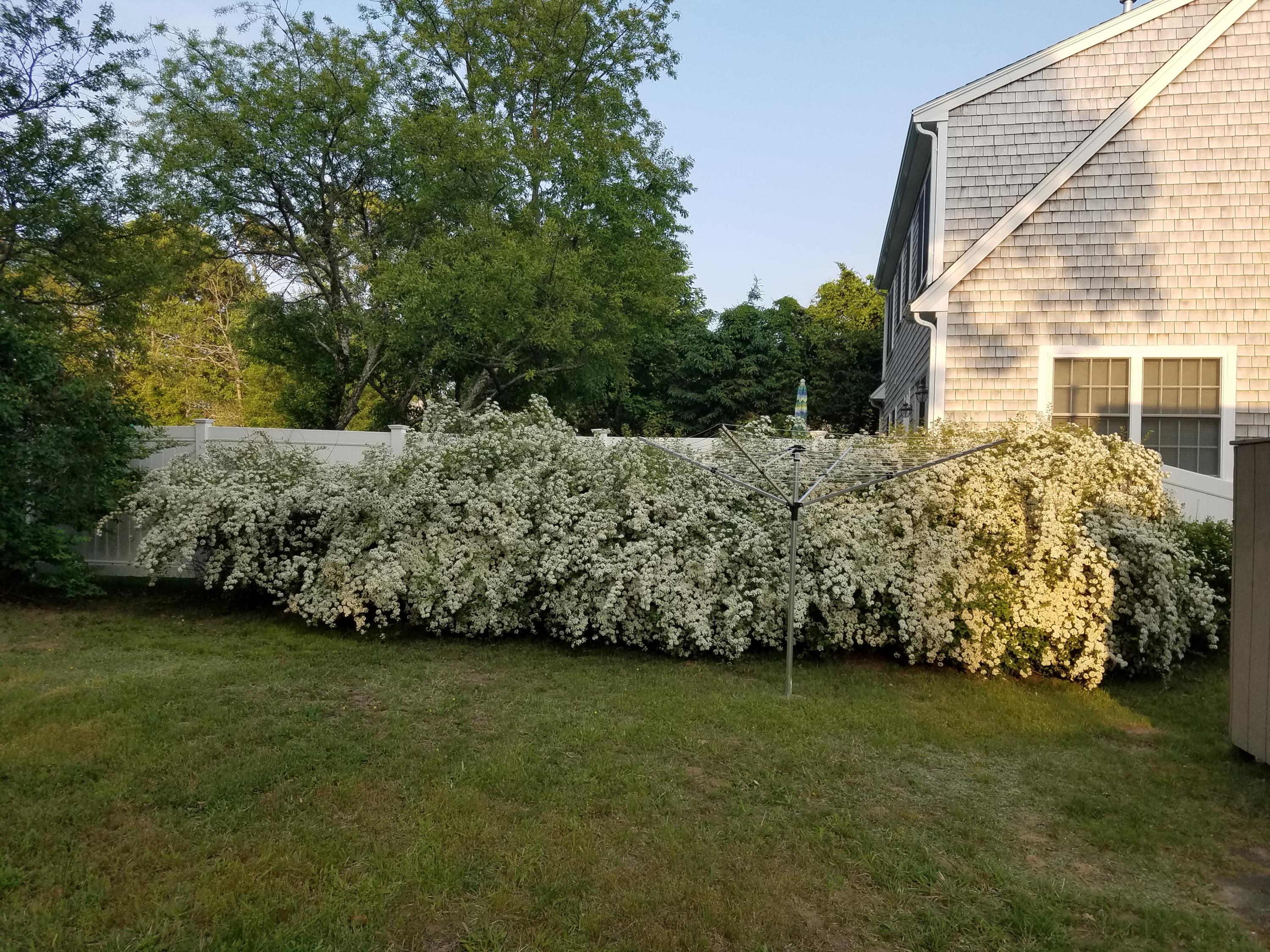 14 Judith Ann Road Dennis, MA 02638 - Photo 3 of 13 20190602_185001