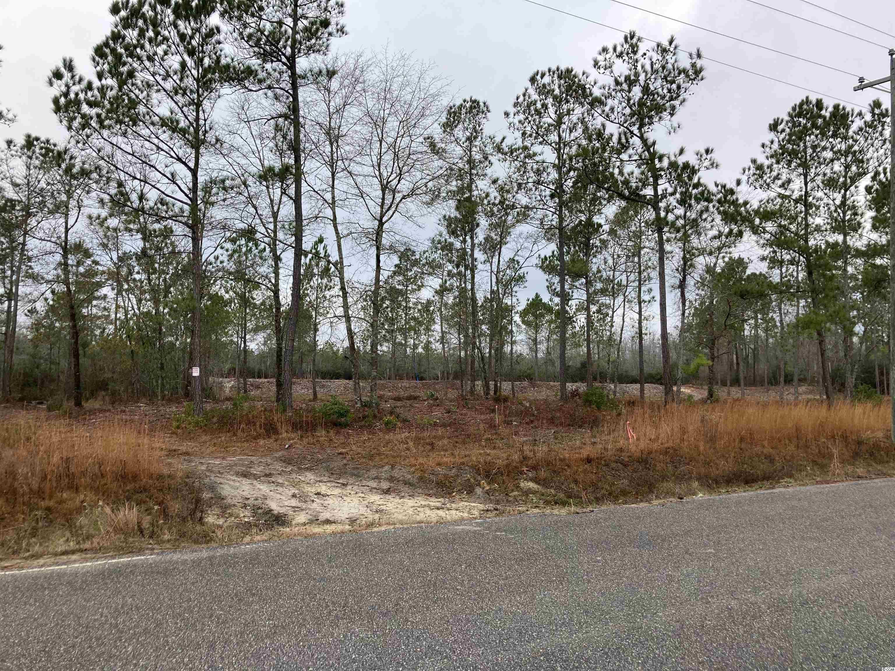 Lot B2 Still Pond Road Conway, SC 29526 - Photo 1 of 4 Gallery Image 1