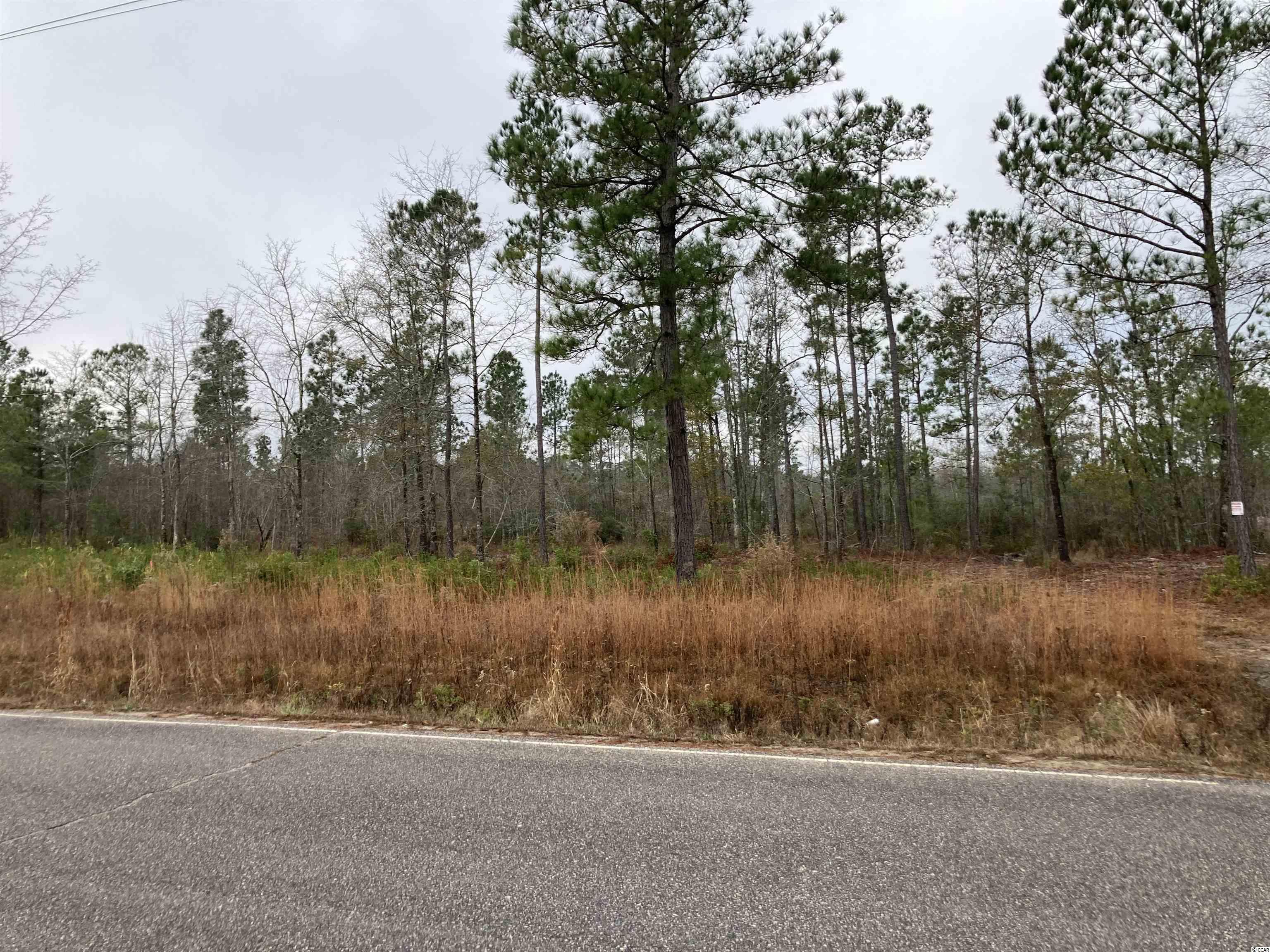 Lot B2 Still Pond Road Conway, SC 29526 - Photo 2 of 4 Gallery Image 2