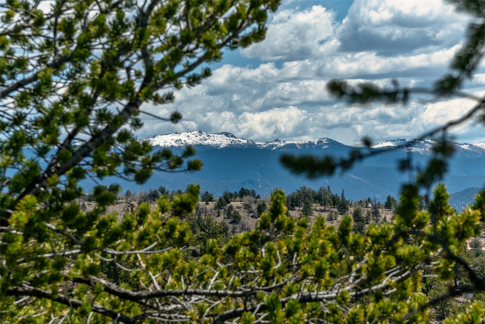 360 Musket Lane Como, CO 80456 - Photo 41 of 46