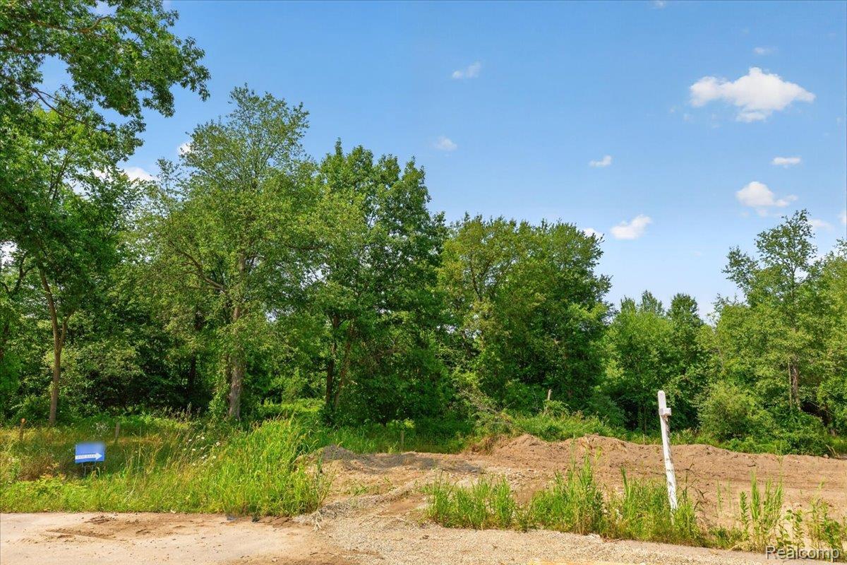 5000 Metamora Ridge Road Metamora, MI 48455 - Photo 11 of 23 03-2026.08.10_Acloutier_5000-5005Metamoraridge394.jpg