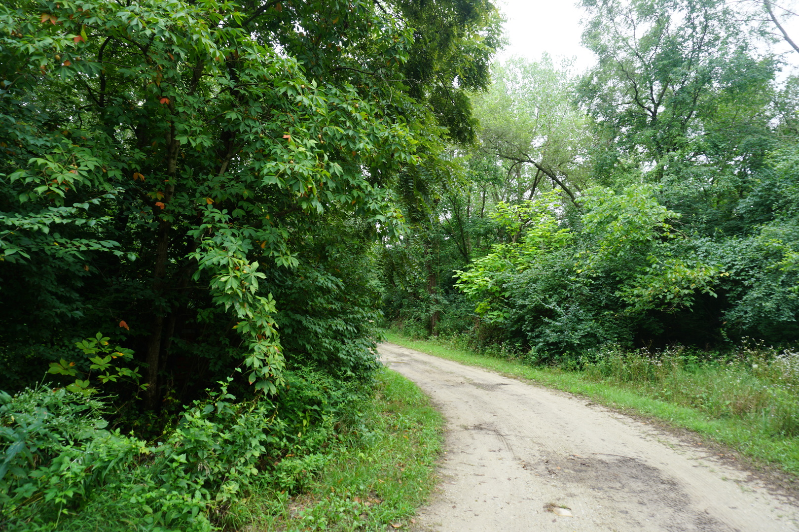 34490 Elevator Road Wilmington, IL 60481 - Photo 3 of 9 Gallery Image 3
