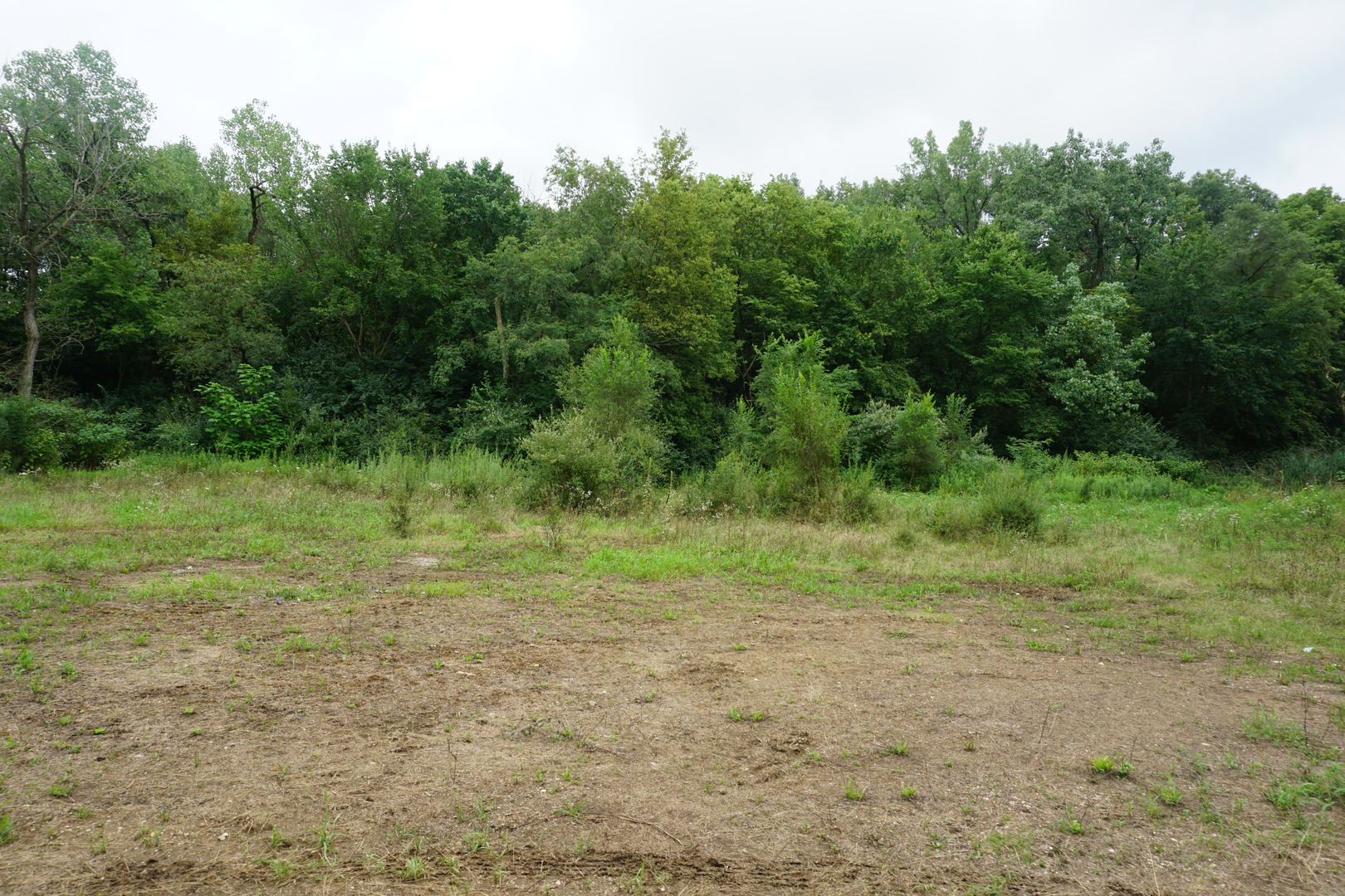 34490 Elevator Road Wilmington, IL 60481 - Photo 5 of 9 Gallery Image 5