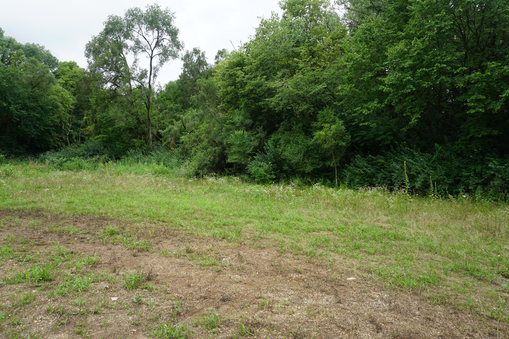 34490 Elevator Road Wilmington, IL 60481 - Photo 6 of 9 Gallery Image 6