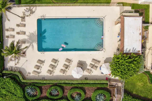 a view of curtain and a potted plant