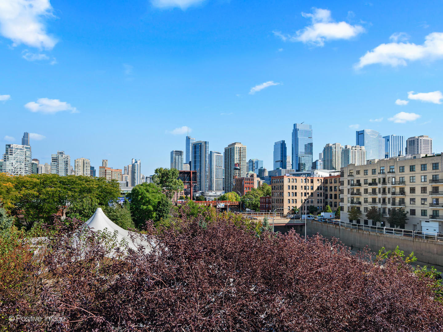 855 West Erie Street, Unit 107 Chicago, IL 60642 - Photo 20 of 21 a view of a city with tall buildings