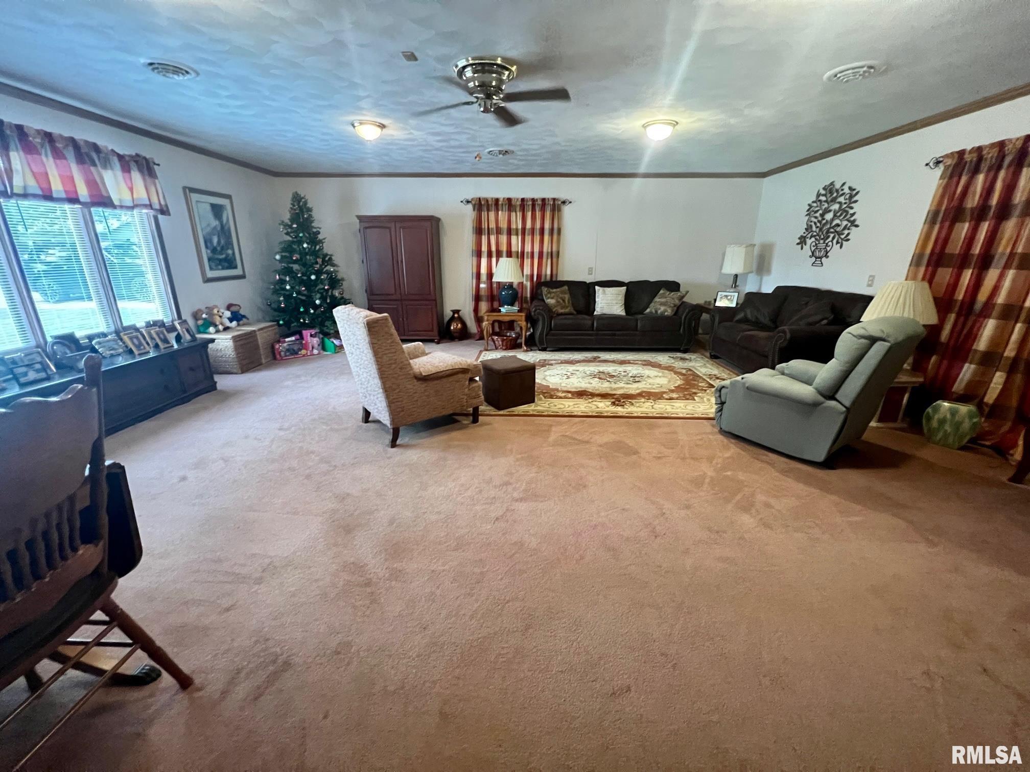 17168 River View Road Petersburg, IL 62675 - Photo 3 of 27 Gallery Image 3